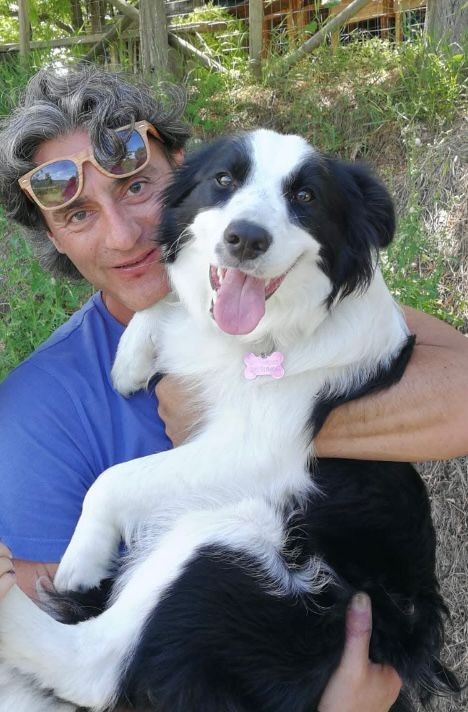 Robby — un cane anziano accolto dal progetto